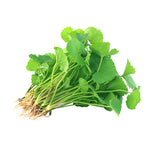 Gotu Kola Raw Form