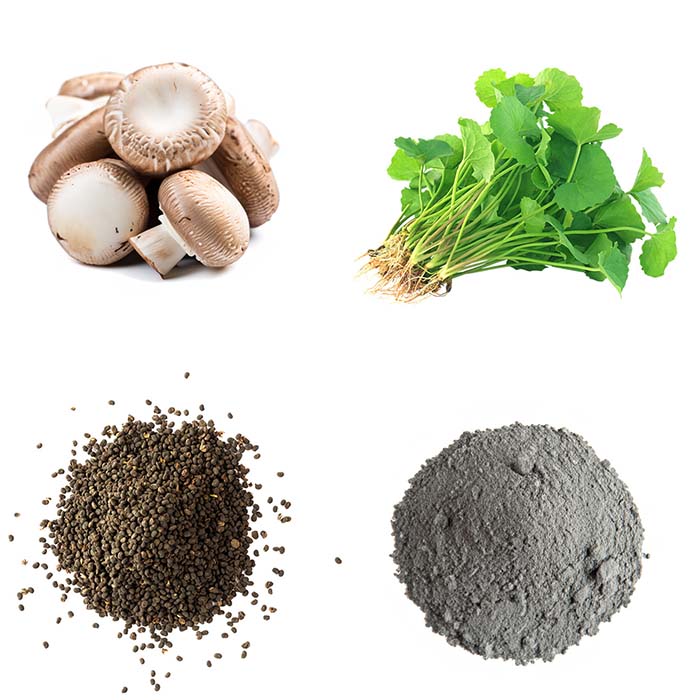 Ingredients Royal Labs Natural Cosmetics, Inc.